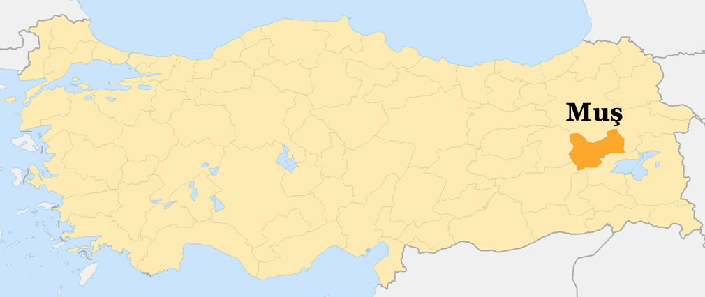 Bulanik Map, Mus