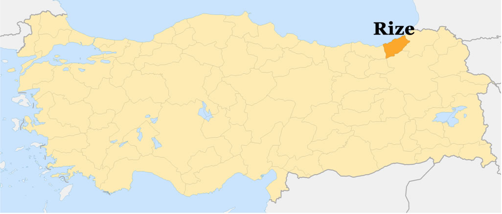 Cayeli Map, Rize