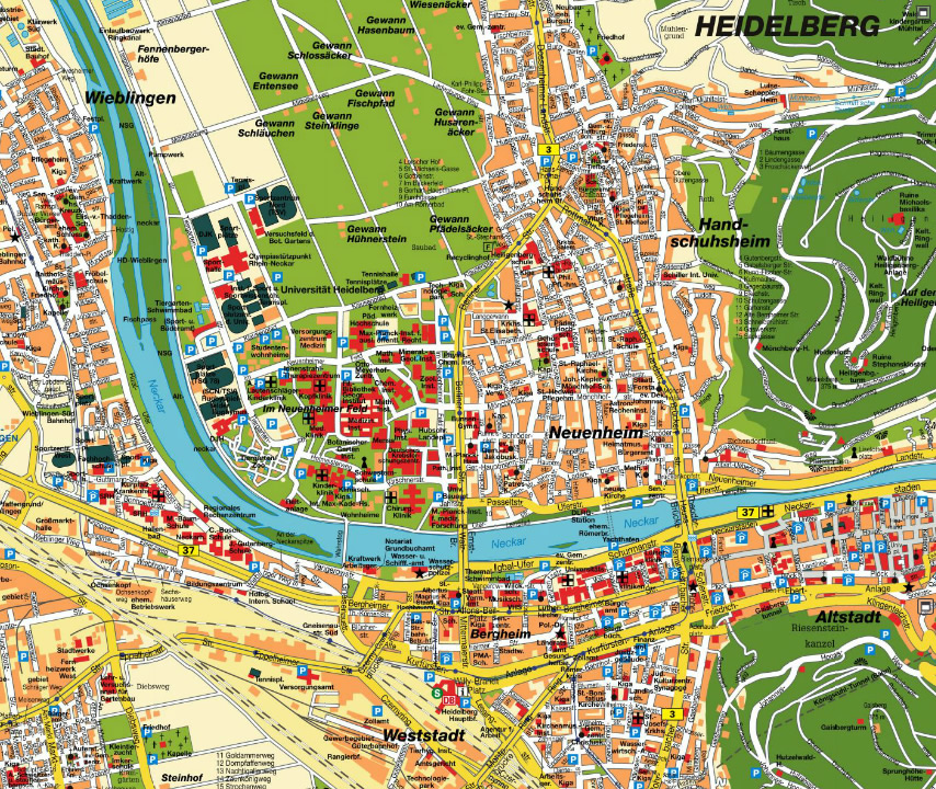 Heidelberg plan