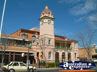 dubbo