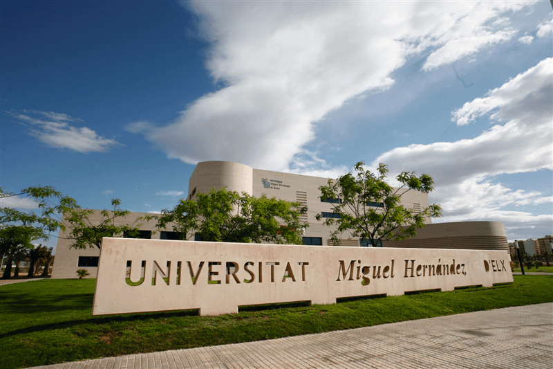 Elche university plan