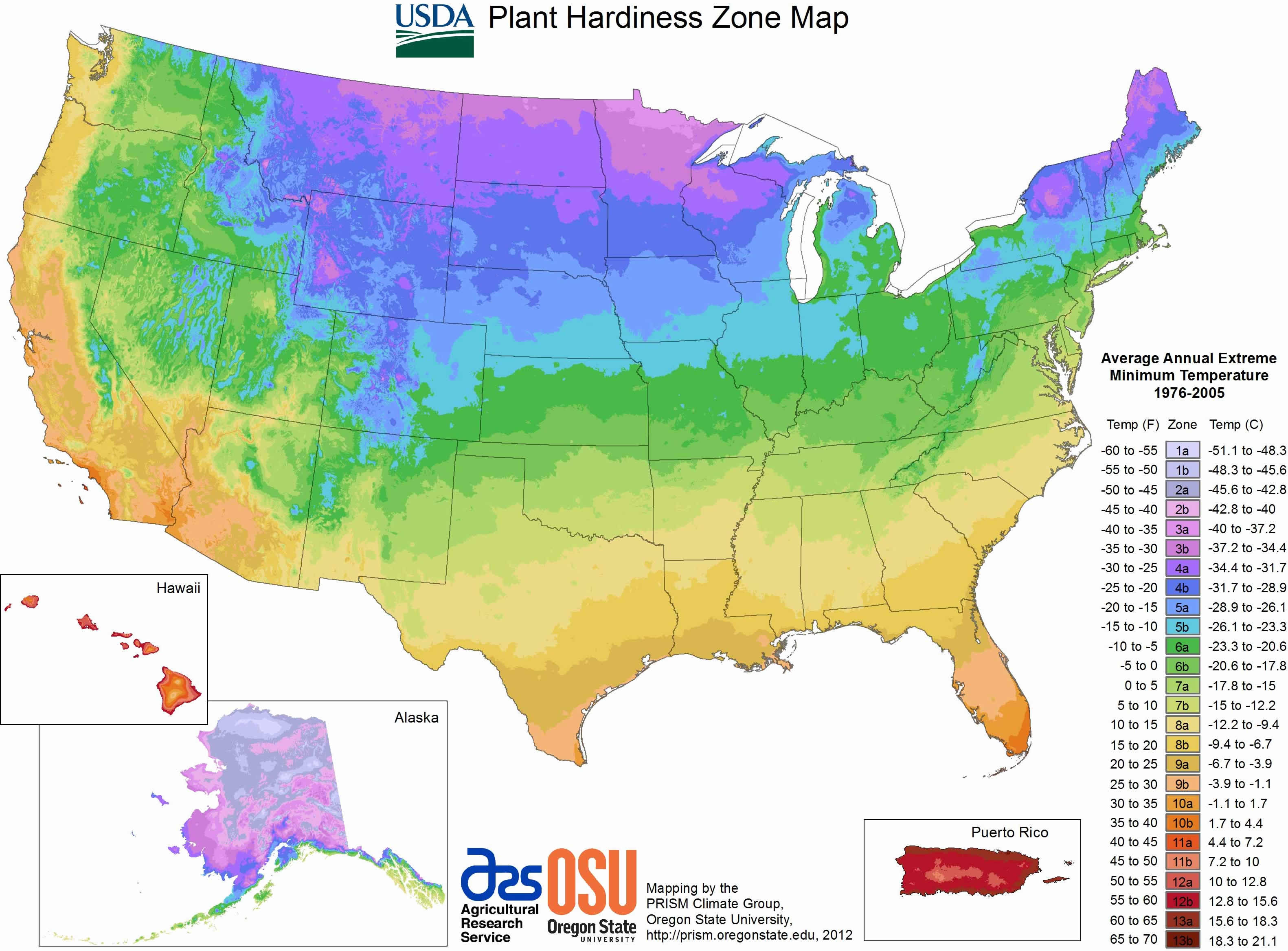 Etats Unis Plante Carte