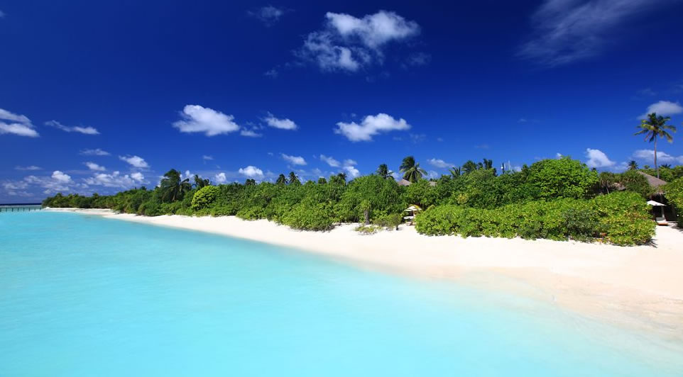 laamu plages maldives