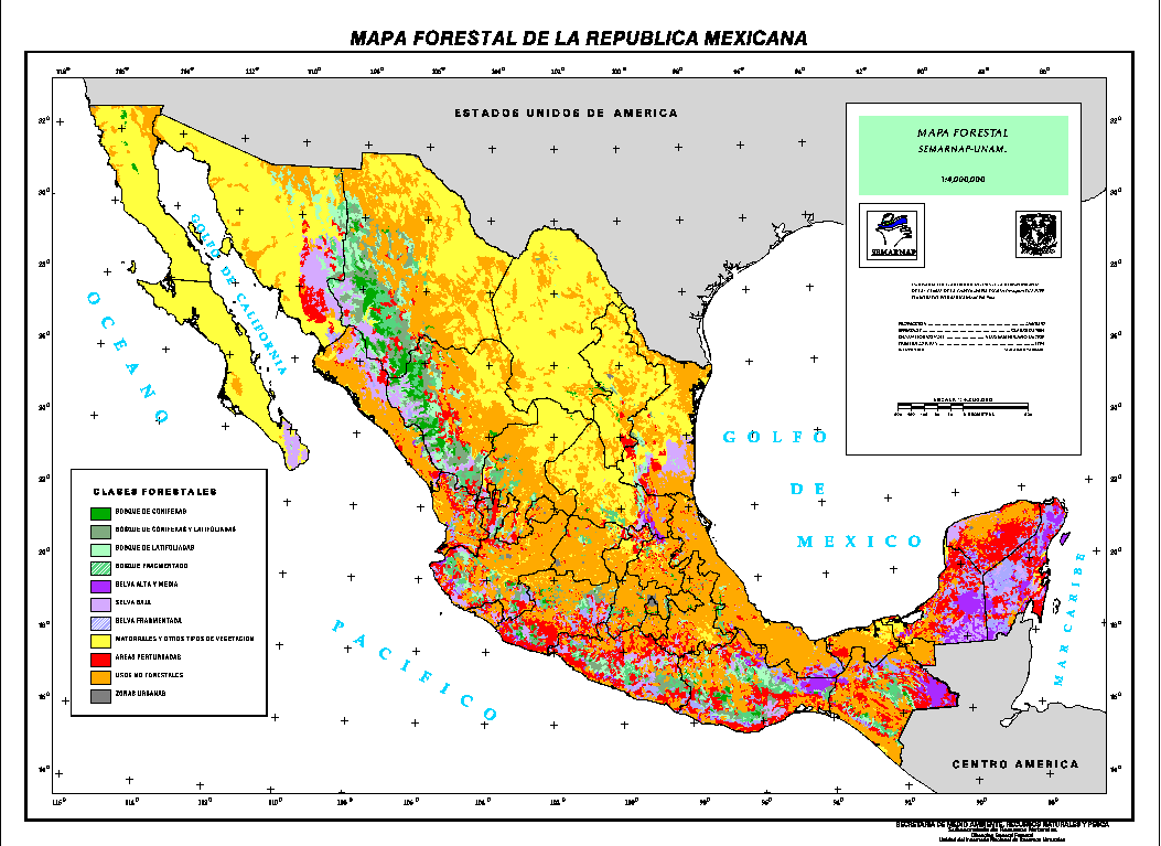 mexique carte foret