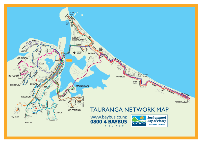 tauranga network plan