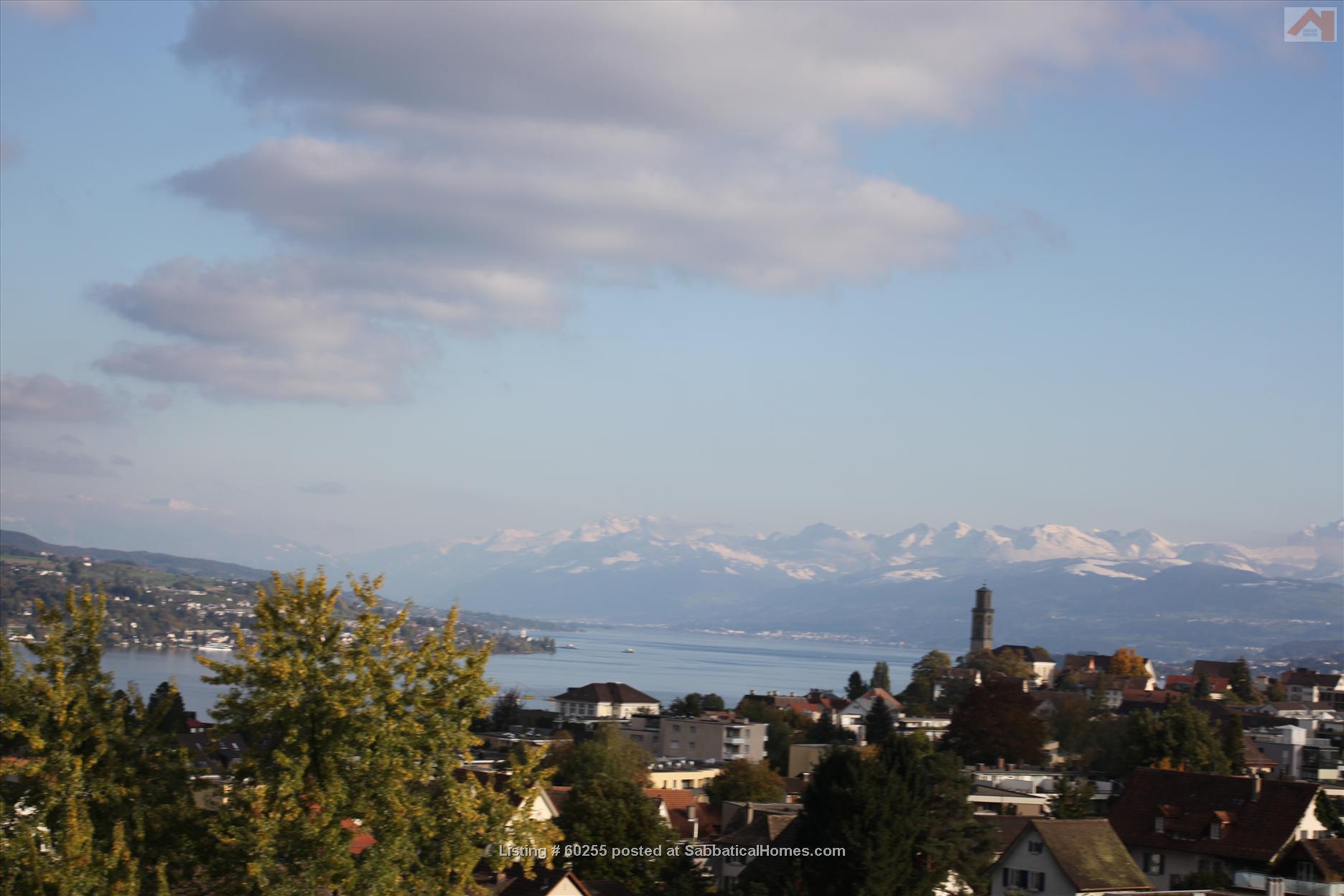 Thalwil Plan et Image Satellite