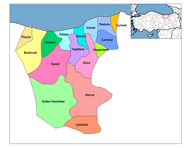 giresun plan